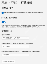 Windows 存储感知中的运行频率和自动清理计划