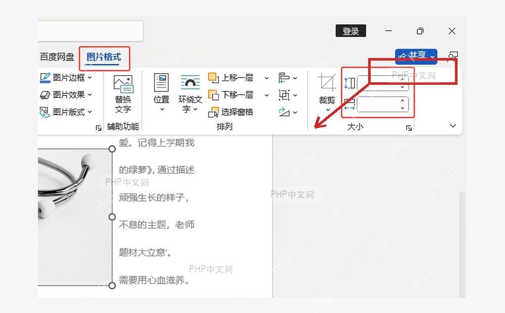 Word 图片格式界面和文档图片大小区域,服务于拖动控制点放大步骤
