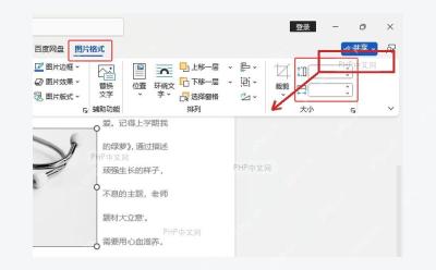 Word 图片格式界面和文档图片大小区域,服务于拖动控制点放大步骤