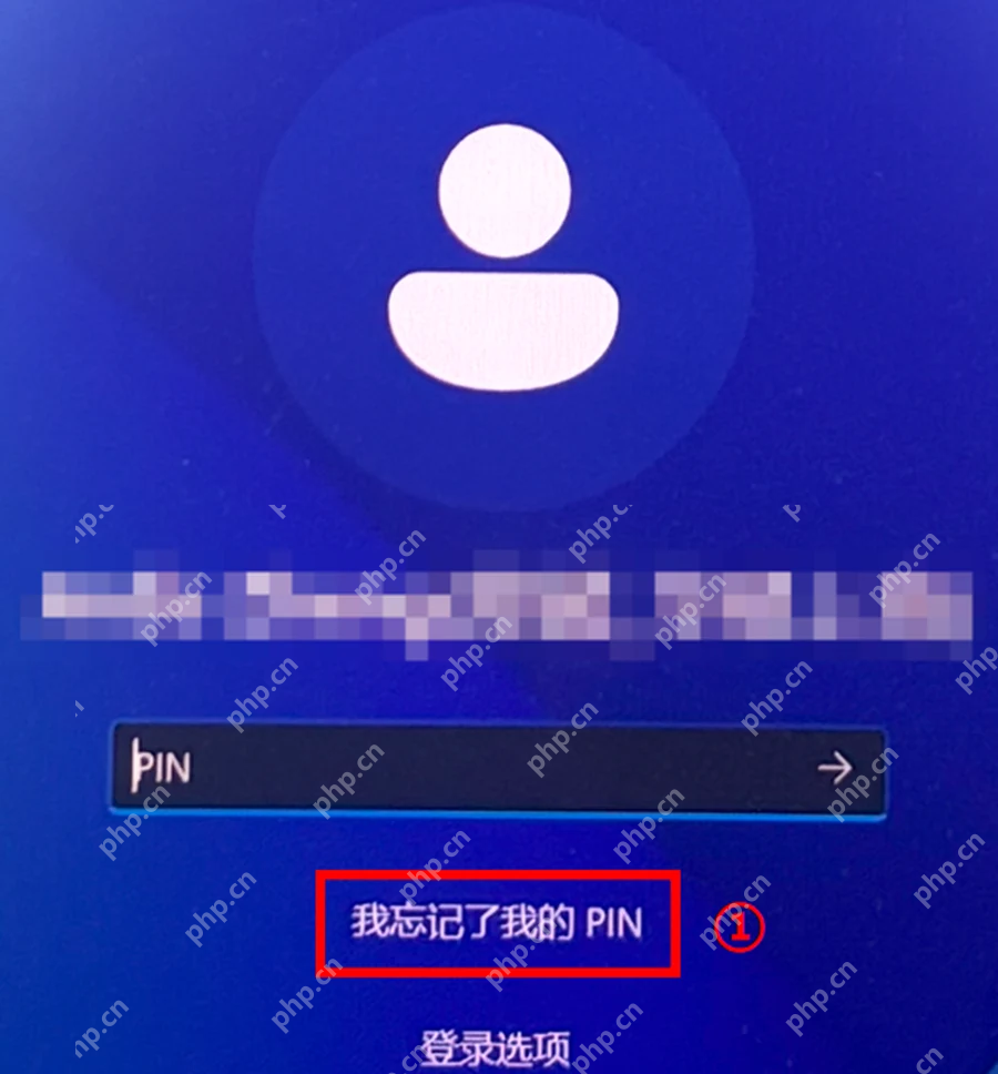 Win10 登录界面显示我忘记了我的 PIN 重置入口