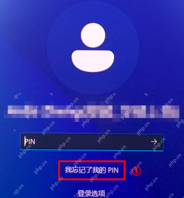 Win10 登录界面显示我忘记了我的 PIN 重置入口