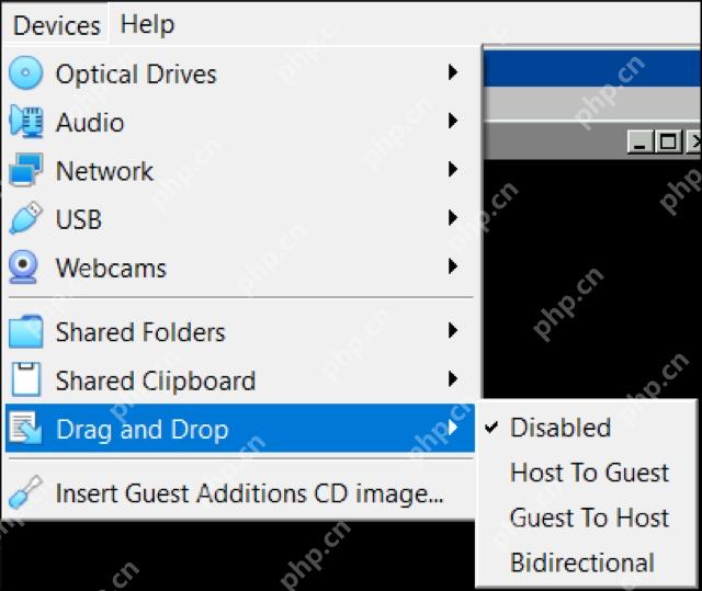 VirtualBox 设备菜单中的拖放模式选项