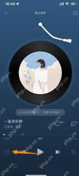 网易云音乐app怎么设置单曲循环步骤图2