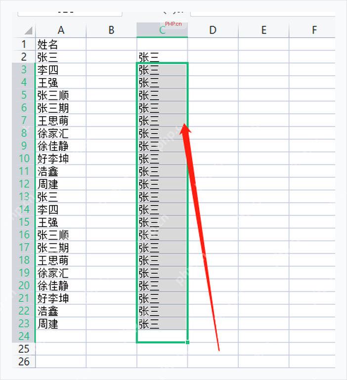 WPS 表格中自定义姓名序列已经向下自动填充,服务于验证填充结果步骤
