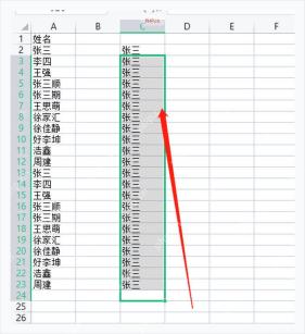 WPS 表格中自定义姓名序列已经向下自动填充，服务于验证填充结果步骤