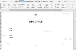 WPS如何取消文档页面边框?结果检查