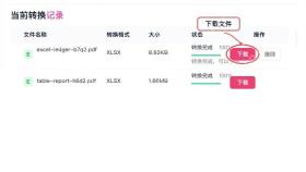 PDF转Excel下载Excel并检查
