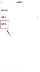 百度网盘 App 主题模式页玄夜黑选项