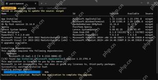 Win11 PowerShell 运行 winget upgrade --all --include-unknown 并安装依赖