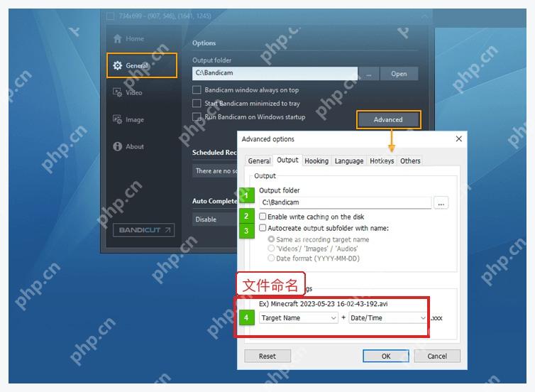 Bandicam Windows 高级输出页中的文件命名设置
