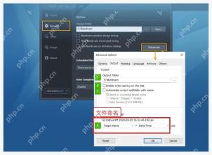 Bandicam Windows 高级输出页中的文件命名设置