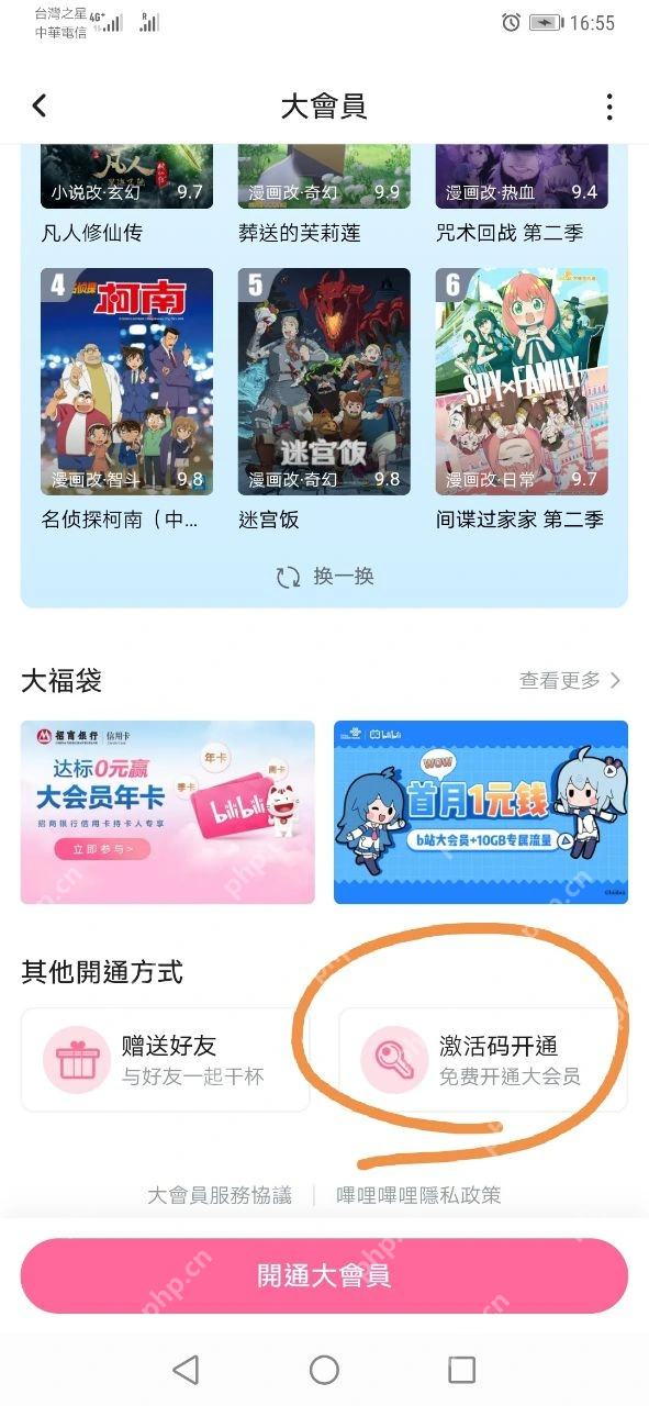 哔哩哔哩大会员页面其他开通方式中的激活码开通入口_哔哩哔哩怎么使用激活码_哔哩哔哩会员激活码兑换步骤 - php中文网