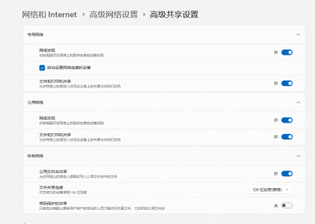 Windows 高级共享设置页面中的共享相关选项