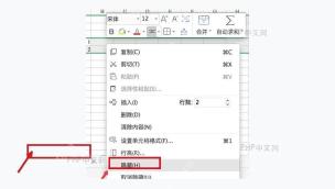 WPS表格右键菜单中选择隐藏行列