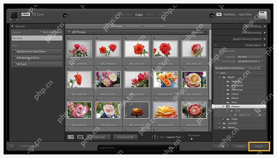 Lightroom Classic Import 窗口右下角 Import 按钮
