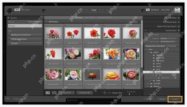 Lightroom Classic Import 窗口右下角 Import 按钮
