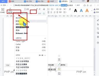 WPS文字开始选项卡中用于修改页码字体和字号的下拉框