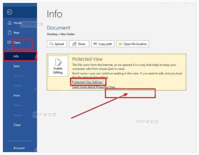 Word 文件信息页面中的受保护视图提示和编辑入口，用于确认只读来源