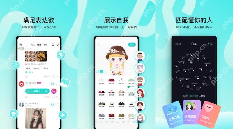 Soul无法修改兴趣标签怎么解决 Soul资料编辑不了如何处理 - php中文网