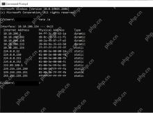 Win11怎么查看本机ARP邻居缓存_核对局域网设备地址