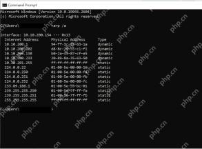 Windows 11 用 arp -a 查看当前映射的真实界面截图