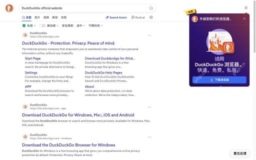 查看网页搜索结果对应的DuckDuckGo真实界面