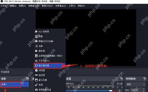 OBS Studio 预览区和来源列表用于检查采集画面范围