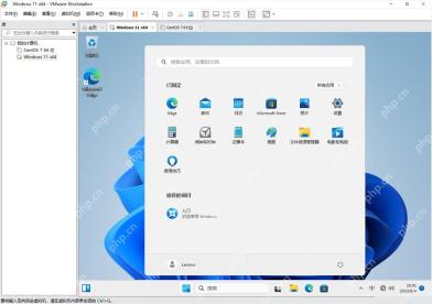 VMware Workstation 中 Windows 11 虚拟机桌面用于检查全屏和分辨率效果