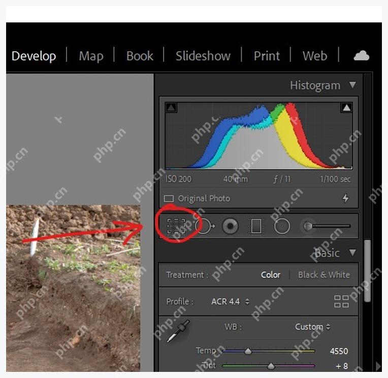 Lightroom Classic Develop 模块右侧 Crop Overlay 裁剪工具入口