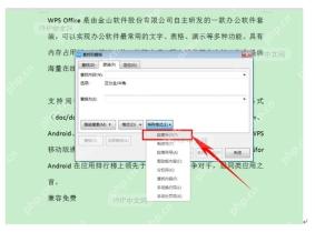 WPS替换面板中通过特殊格式给查找内容插入段落标记