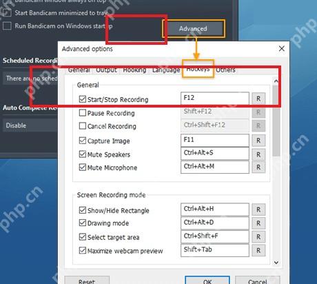 Bandicam Windows Advanced options Hotkeys页红框标出Pause Recording暂停录制快捷键