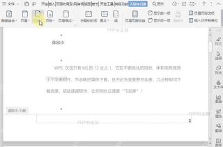 设置文档奇偶页页码位置不相同设置效果