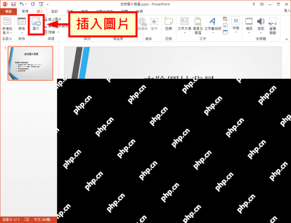 PowerPoint 插入图片入口