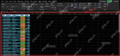 Excel 工作表已经切到深色背景,表格主体和网格区域明显变暗