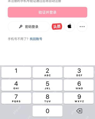 iPhoneSE微信怎么开启声音锁一键登录真实操作界面
