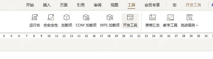 WPS文字中打开开发工具和宏相关入口