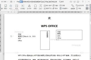 如何在文档中快速插入日期和时间?结果检查