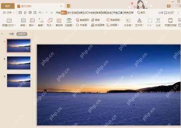 WPS演示中打开包含图片的幻灯片文件