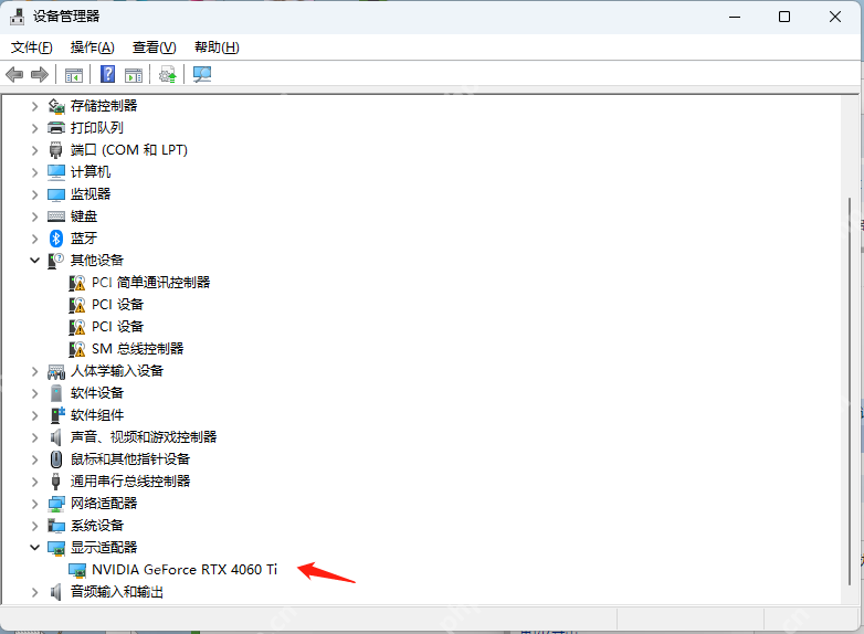 Windows 设备管理器中的显示适配器列表