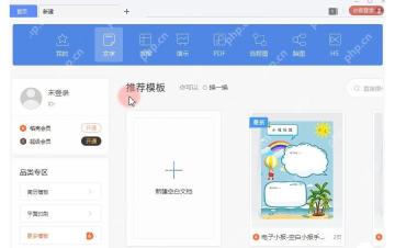 WPS 新建页文字分类中点击新建空白文档入口