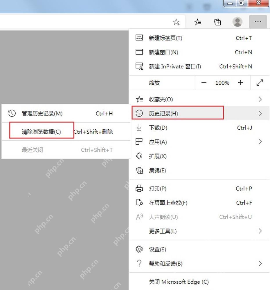 Microsoft Edge 菜单中历史记录和清除浏览数据入口