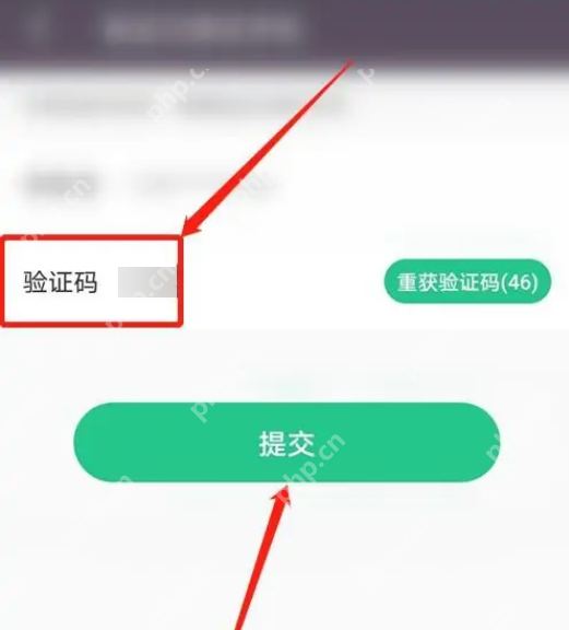 Keep修改密码流程中的验证码验证与提交按钮_Keep怎么修改密码_Keep账号密码修改步骤 - php中文网