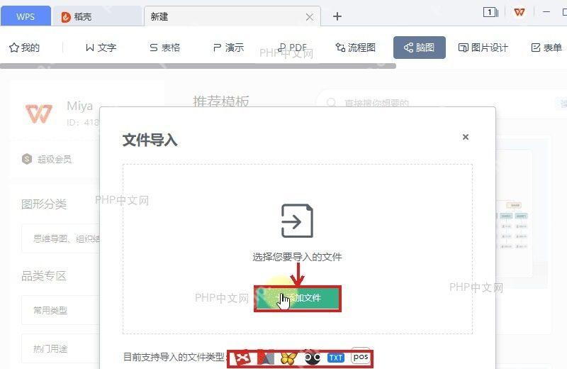 WPS 文件选择窗口中检查图片文件是否可选