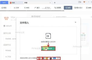 WPS 文件选择窗口中检查图片文件是否可选