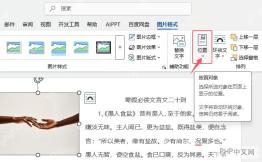 Word 检查图片布局选项