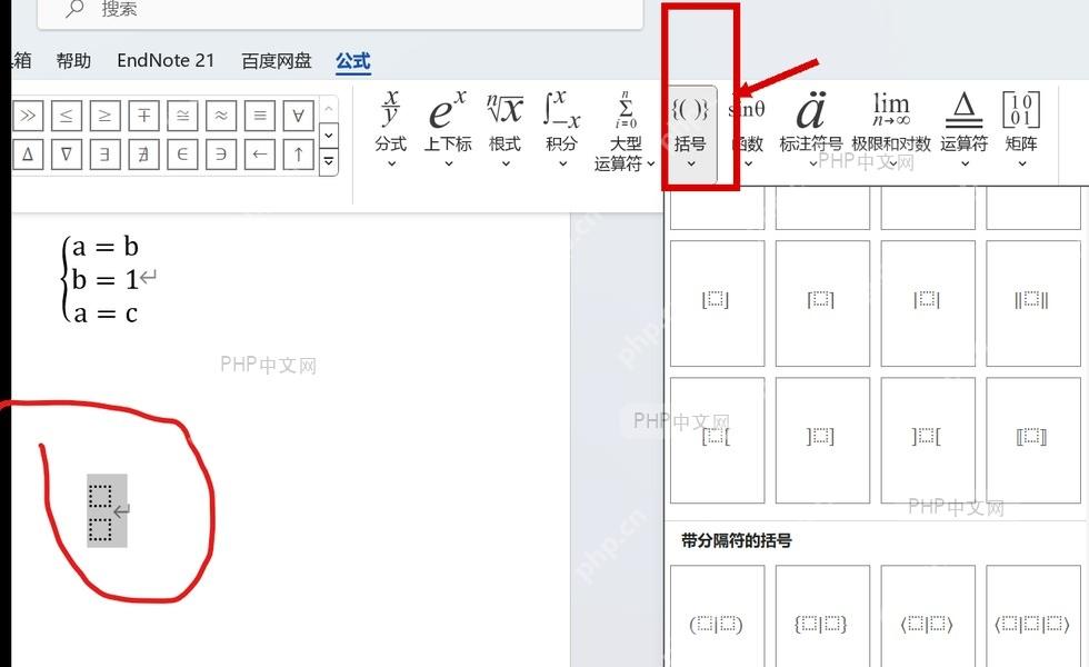 Word 公式选项卡中的括号按钮被标出