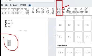 Word 公式选项卡中的括号按钮被标出