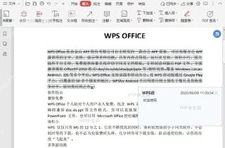 如何设置PDF文档中替换符的颜色？入口位置