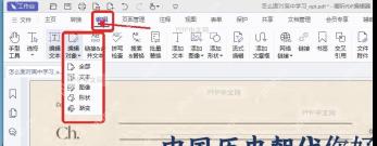 PDF编辑器编辑选项卡中编辑对象菜单的位置