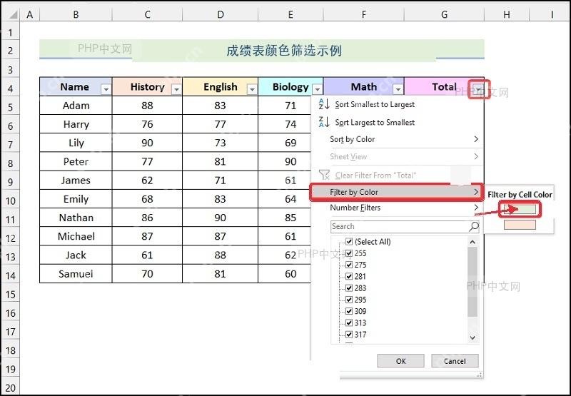 Excel 按颜色筛选菜单中选中绿色单元格色块,服务于选择要保留颜色步骤